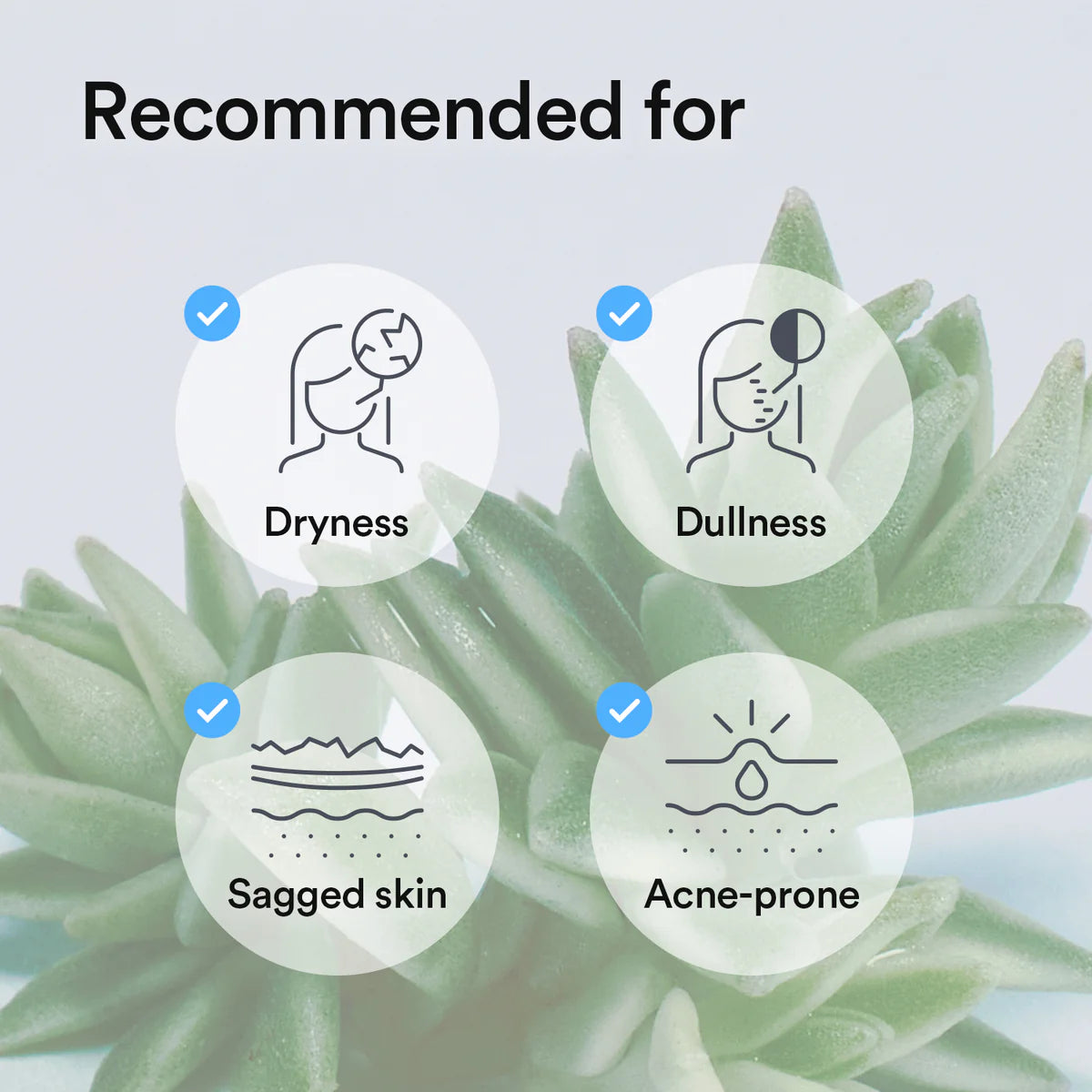 ABIB Collagen Gel Mask Sedum Jelly (35G*4EA)