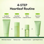 ABIB Heartleaf Calming Trial Kit (Foam 30ml+Toner 30ml+Serum 15ml+Crema 20ml)