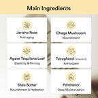 ABIB Jericho Rose Creme Nutrition Tube 75ml