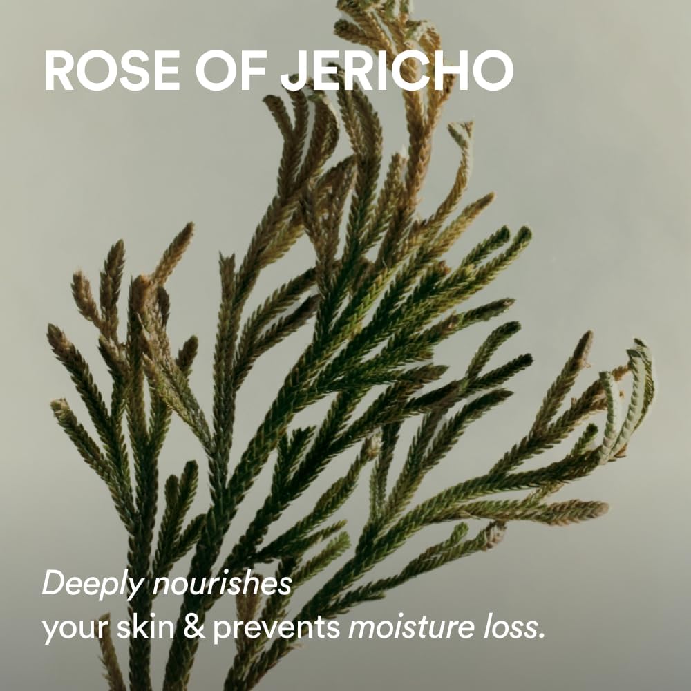 ABIB Jericho Rose PHA Toner Skin Booster 200ml