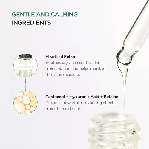 ANUA Heartleaf 80% Moisture Soothing Ampoule