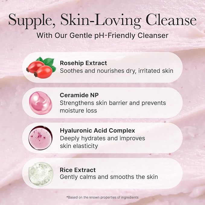 ARENCIA Rosehip Rice Cake Cleanser 150g