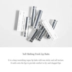 DR.ALTHEA Soft Melting Fresh Lip Balm 4.1g