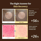DR.REJU-ALL Advanced PDRN Rejuvenating Cream 20ml
