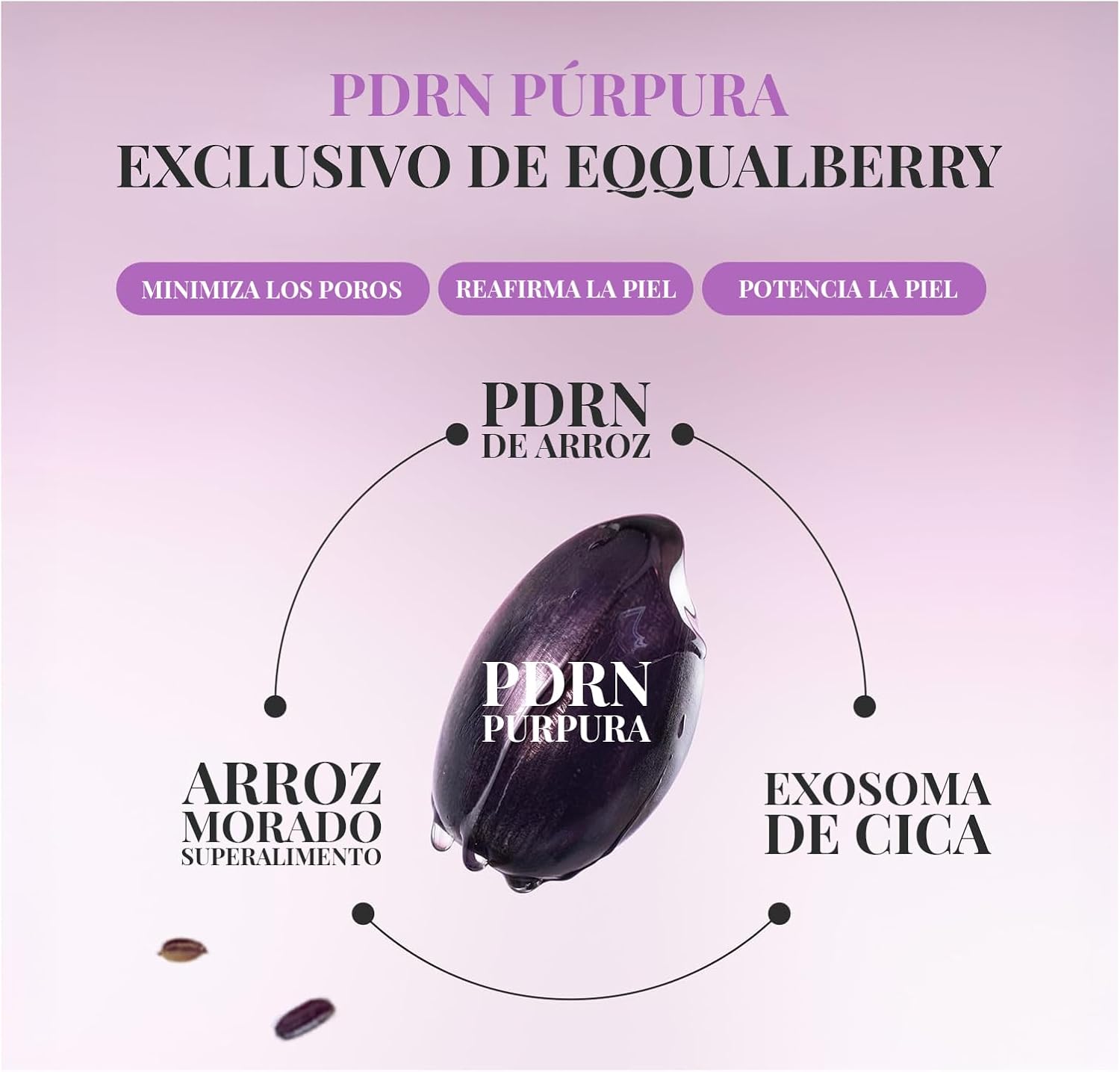 EQQUALBERRY Purple PDRN Pore Minimizing Serum 30ml