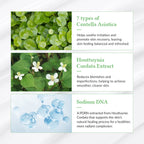 DR.ALTHEA Green Tea Fresh Sunscreen