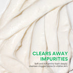 INNISFREE Green Tea Amino Hydrating Cleansing Foam 150g
