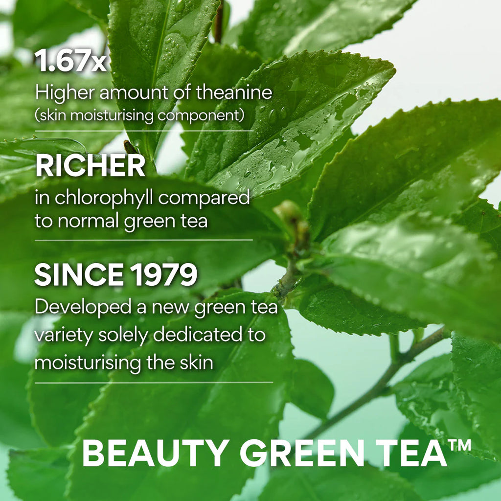 INNISFREE Green Tea Amino Hydrating Cleansing Foam 150g