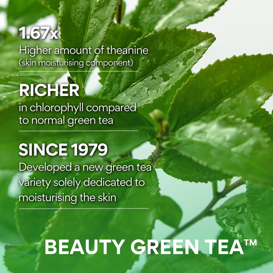 INNISFREE Green Tea Amino Hydrating Cleansing Foam 150g