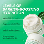 INNISFREE Green Tea Seed Hyaluronic Acid Cream 50ml