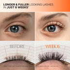 LILYEVE GROW:TURN EXOSOME Dual Lash Serum 8ml