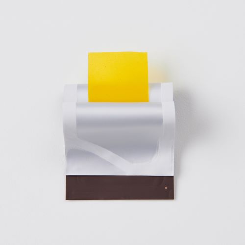 ESTHER FORMULA Liposome Glutathione Direct Ultra X 9.75g