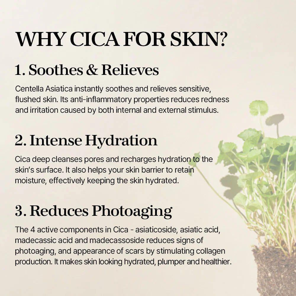 MIXSOON Soondy Centella Asiatica Essence