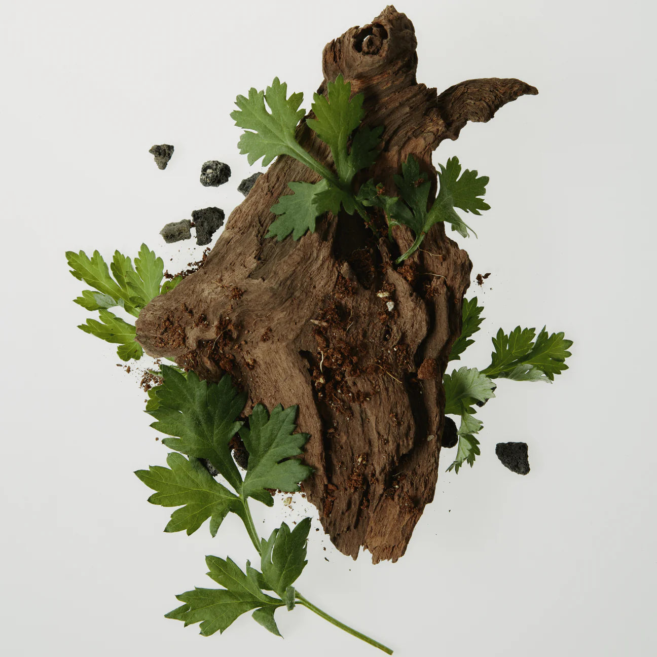 BEAUTY OF JOSEON Matte sun stick: Mugwort + Camilia