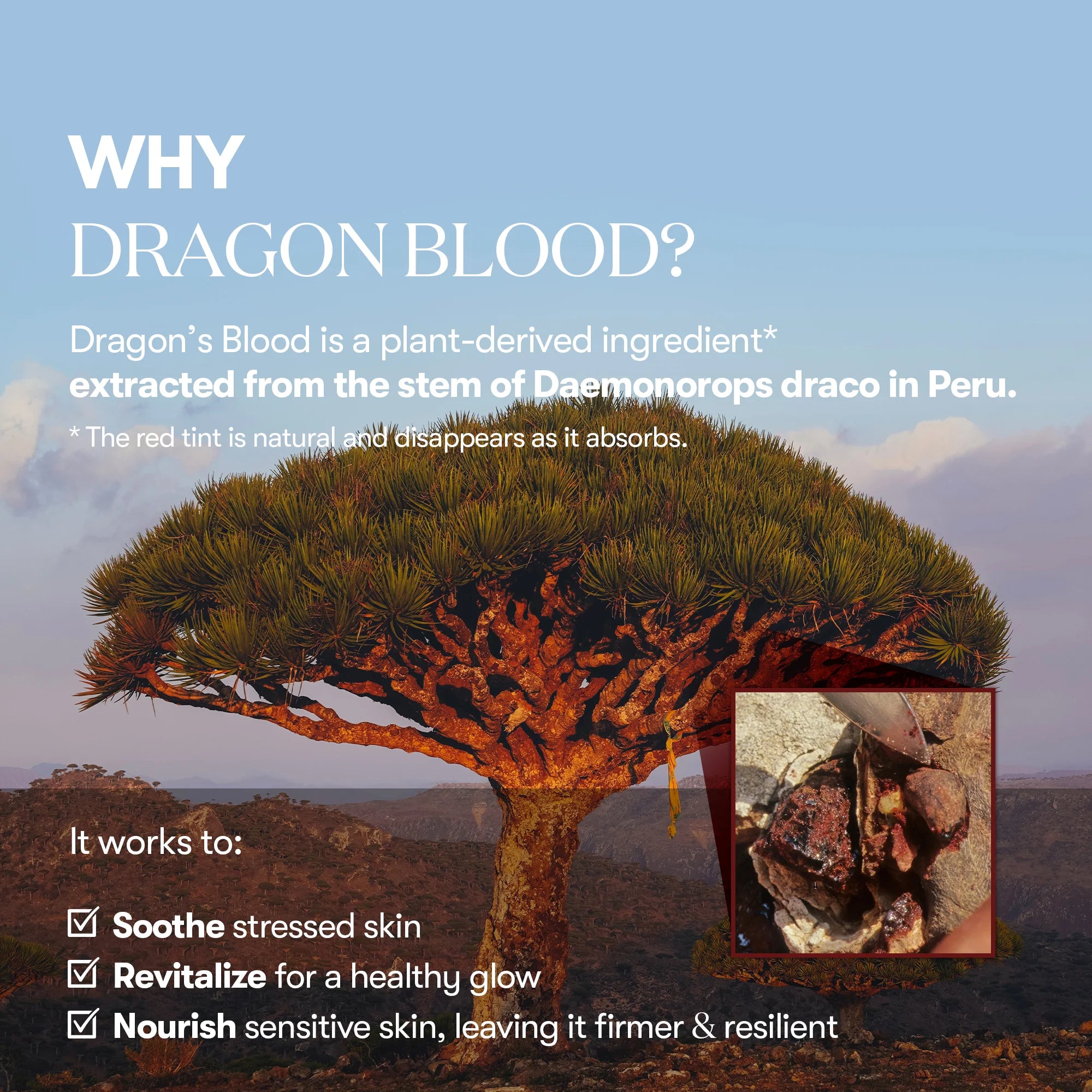 VT COSMETICS Red Booster Reedle Shot 100 50ml