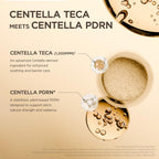 SKIN1004 Centella Teca Ampoule 50ml