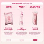 THE FACE SHOP ice Water Bright Foaming Facial Cleanser 300ml