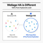 WELLAGE Real Hyaluronic Blue 100 Ampoule 60ml